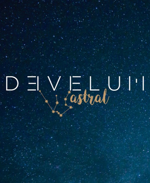 Develium Astral - Marca Astrología — Branding