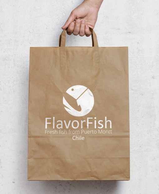 FlavorFish - Chile — Branding