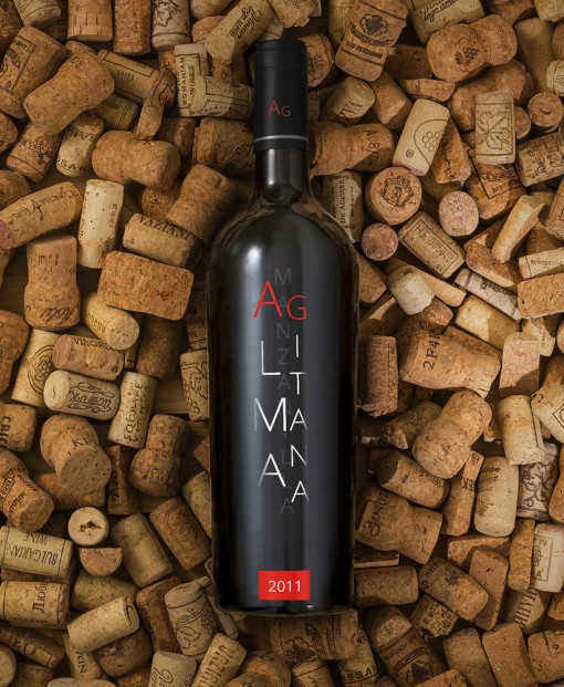 Hidalgo Wines — Branding