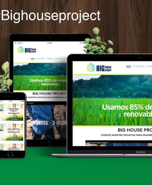 Big House Project — Web + Digital