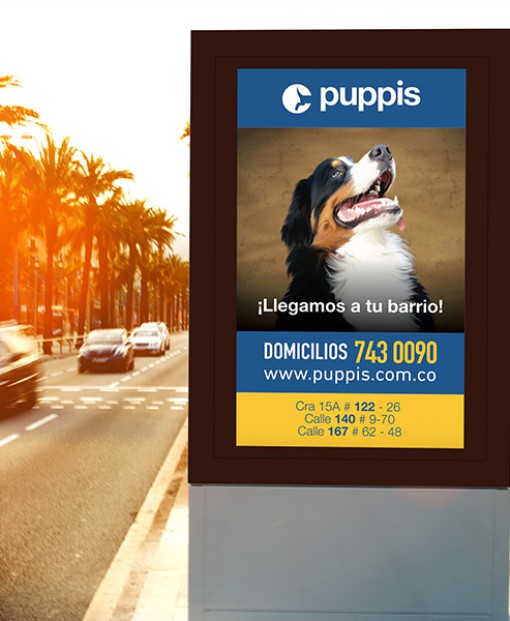 Puppis Colombia — Marketing digital
