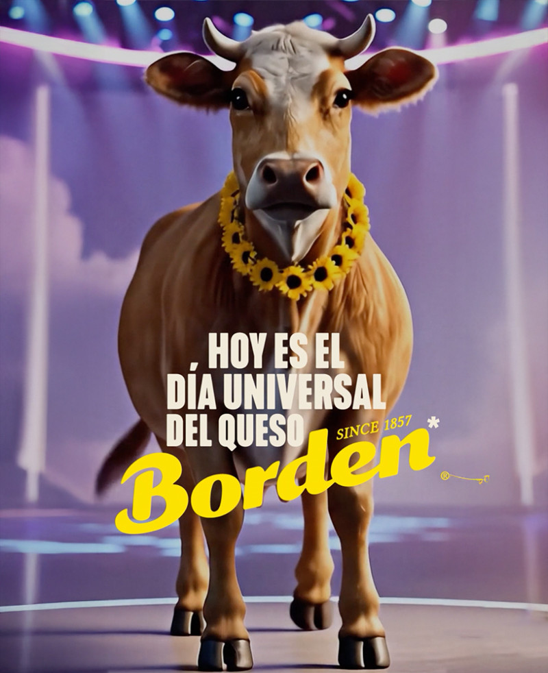 Estrategia de Pauta digital para Borden Colombia — Marketing digital